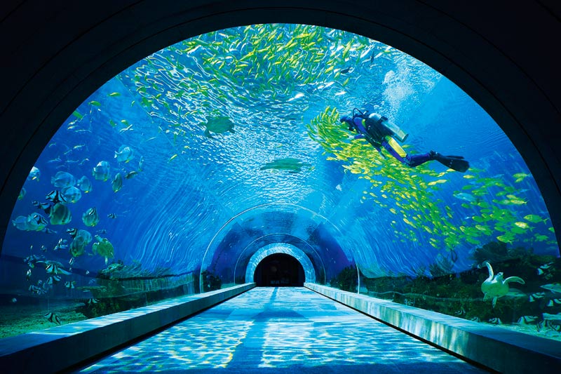 hk_c_Sea-Water-Tunnel-漆阨呣耋.jpg