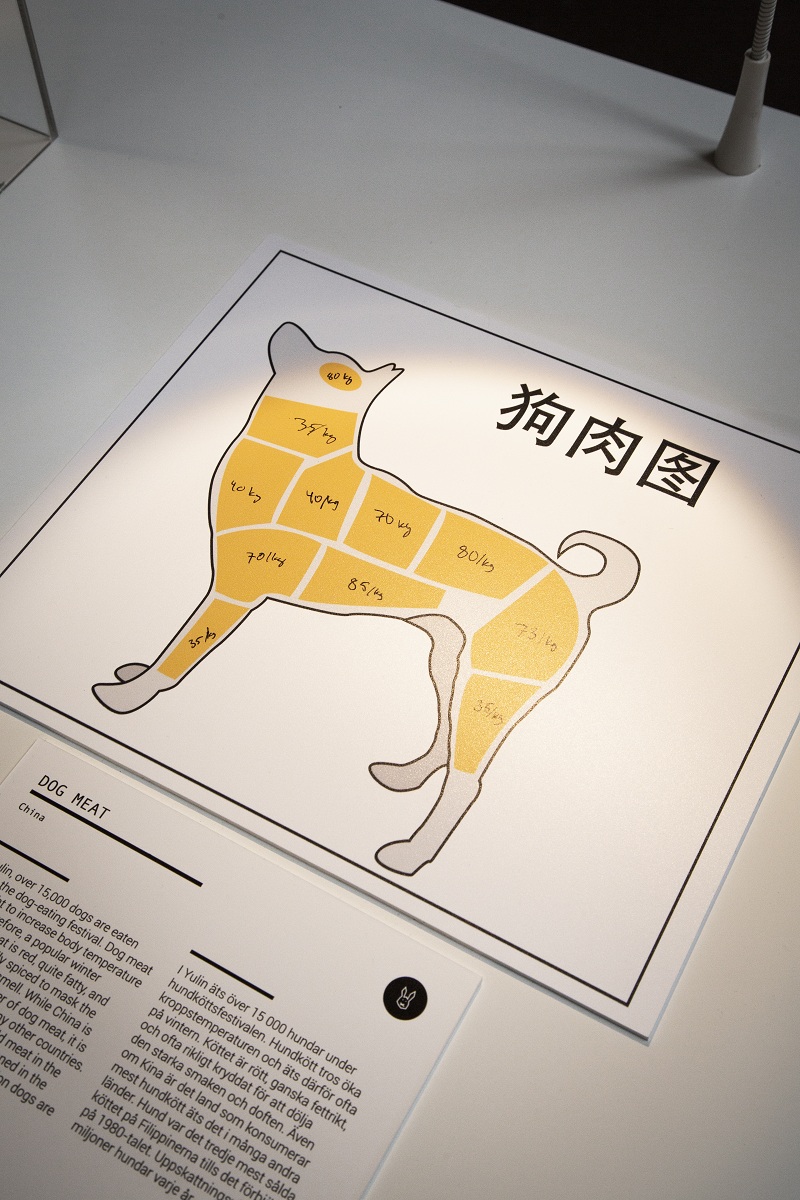 hk_c_dog meat chart——800.jpg