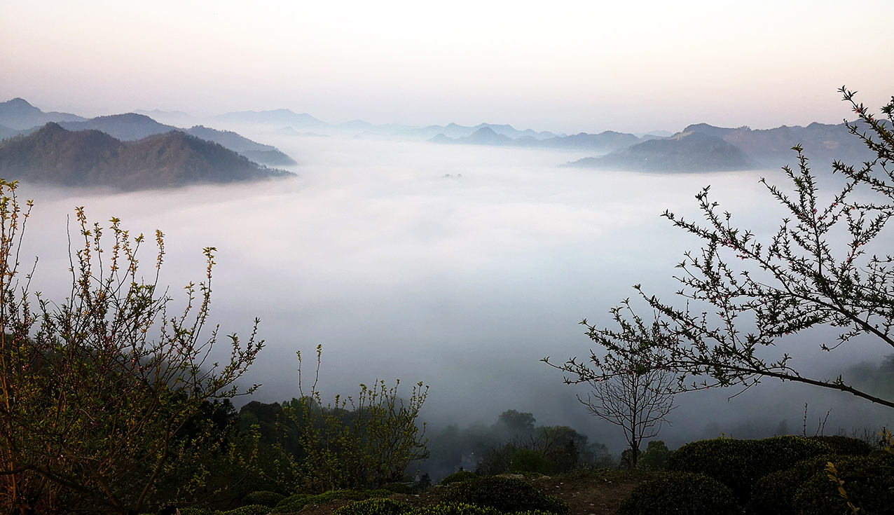 hk_c_崇頭村就被淹沒在這濃霧中，小圖.jpg