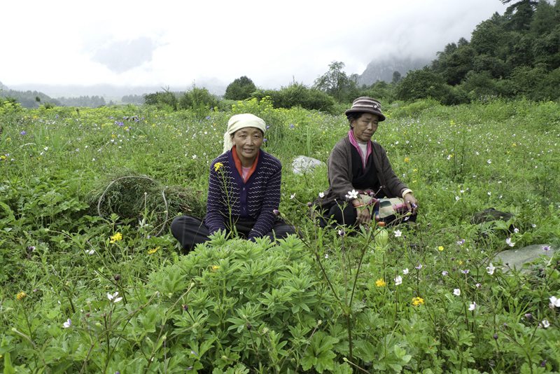 hk_c_最讓我感動的一個場景：吉隆溝毛毛雨天在野地里喝茶聊天的農婦。.jpg