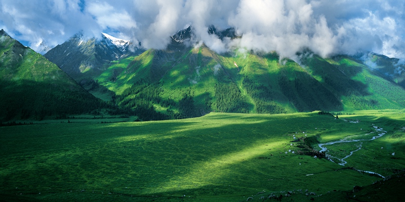 hk_c_天山中麓喬爾瑪草原 攝影：李學亮.jpg