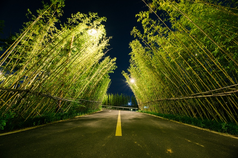 安吉十二时辰 | 初秋"隐居"计划 在安宁吉祥的避世之地悠游陶醉!