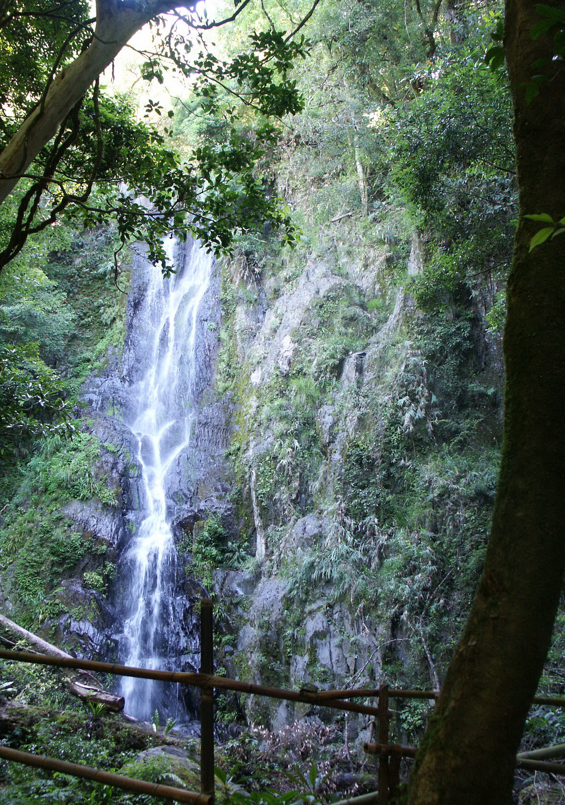 hk_c_1583742072837065672.jpg hk_c_1583742072837065672.jpg