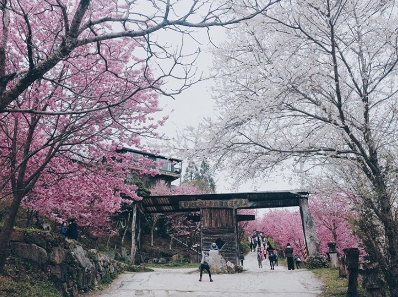 hk_c_1583743873670056586.jpg hk_c_1583743873670056586.jpg