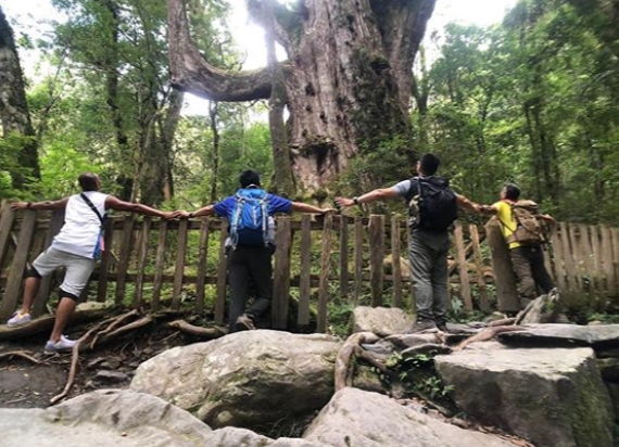 hk_c_1583748378425093619.jpg hk_c_cats-crop.jpg