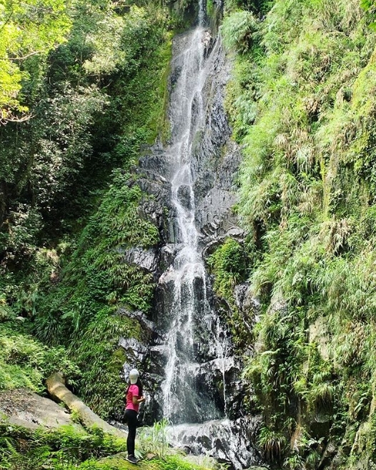 hk_c_1583812420557018371.jpg hk_c_cats.jpg