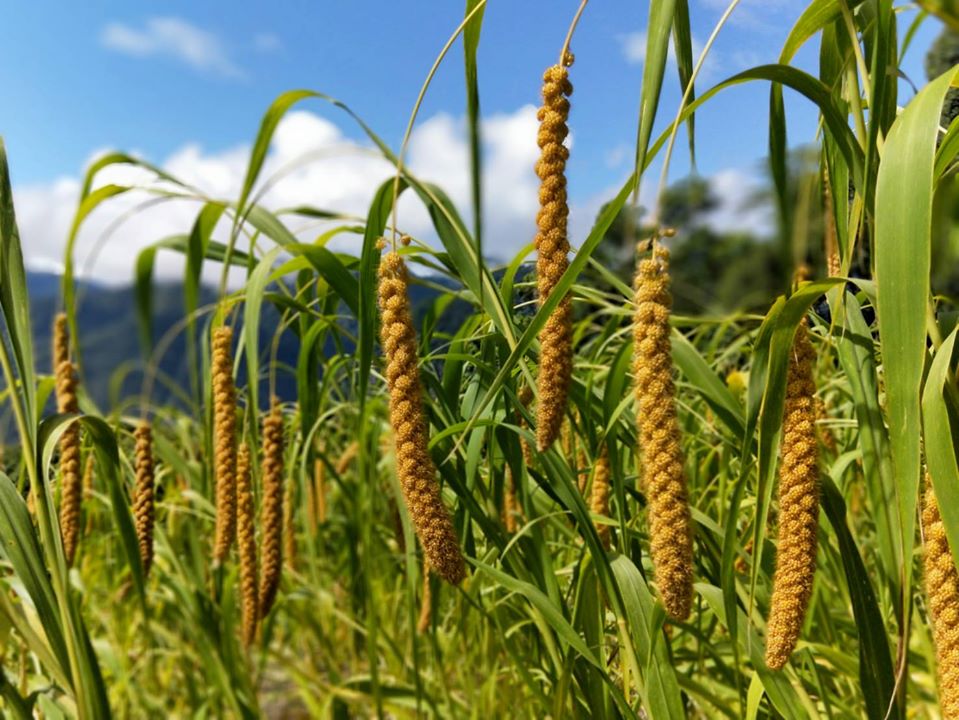 hk_c_1583824674156058935.jpg hk_c_1583824674156058935.jpg