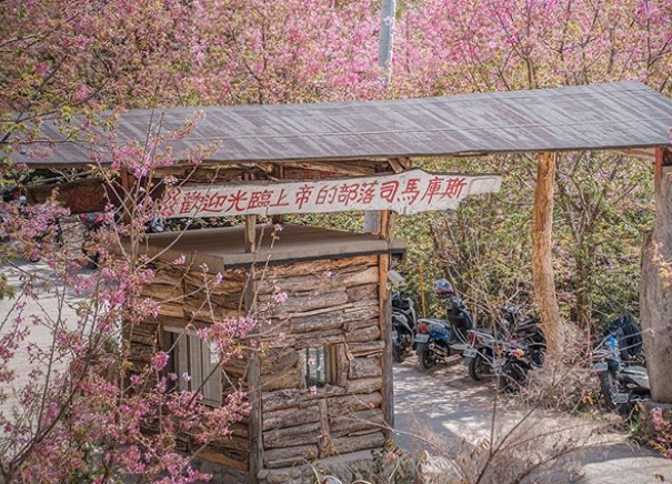 hk_c_1583830156858026184.jpg hk_c_cats.jpg