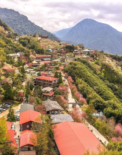 hk_c_1583830450573095260.jpg hk_c_cats.jpg