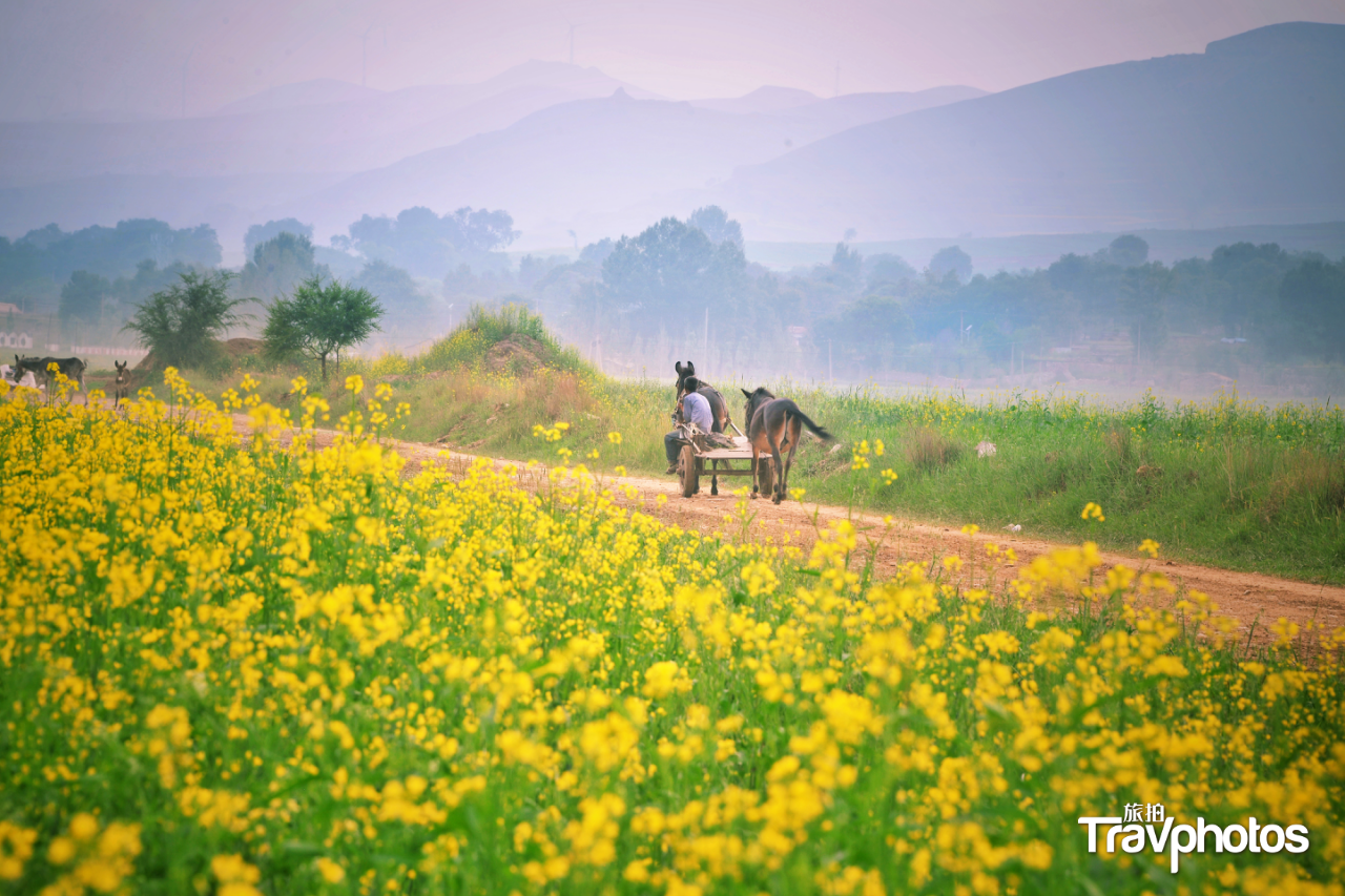 hk_c_【花開小道務農歸】 作者：劉誌偉.png