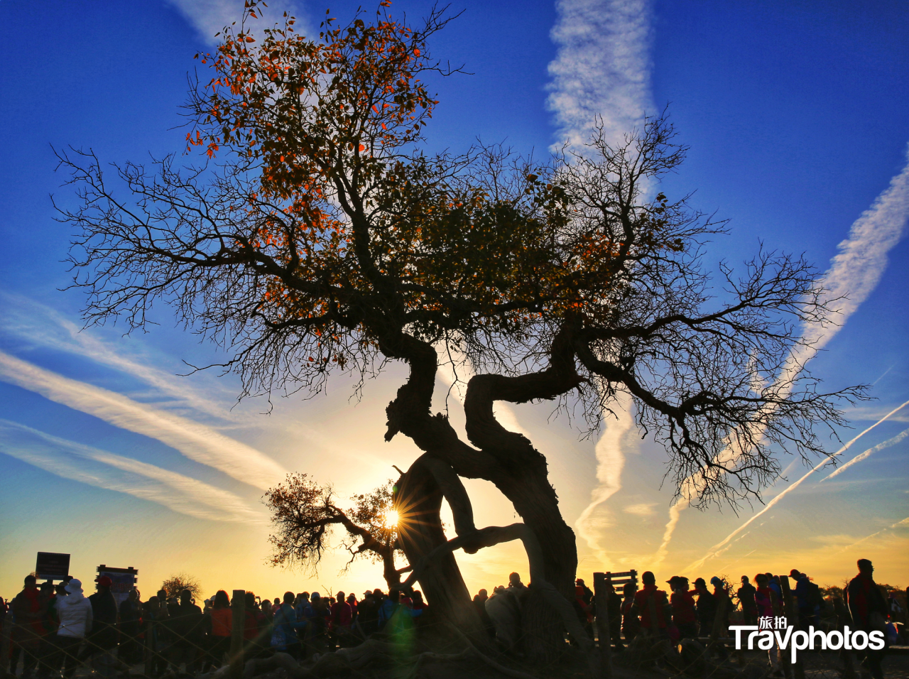 hk_c_【千年之魂】 作者：天馬.png