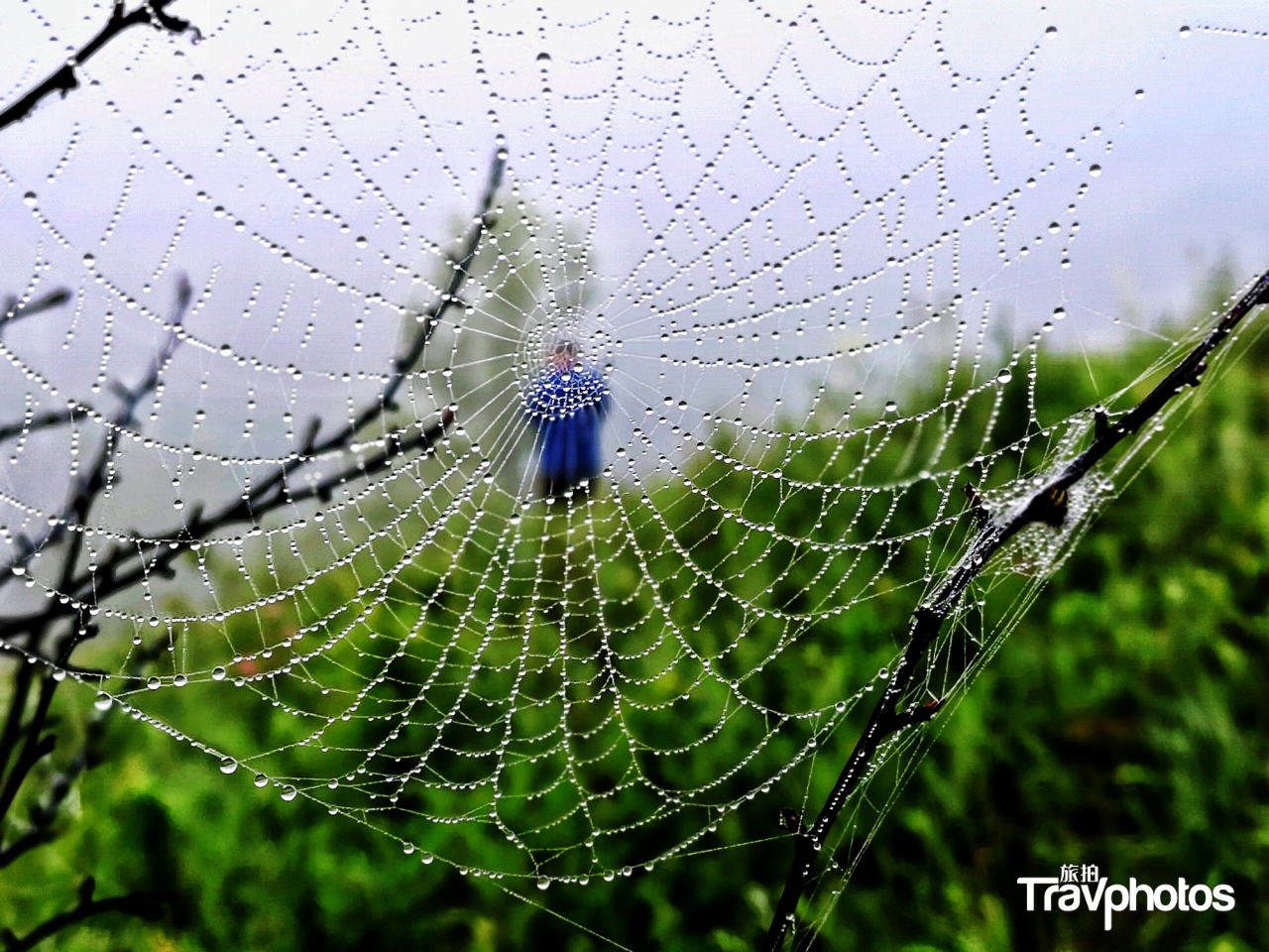 hk_c_【清涼夏日】 作者：金代江.png