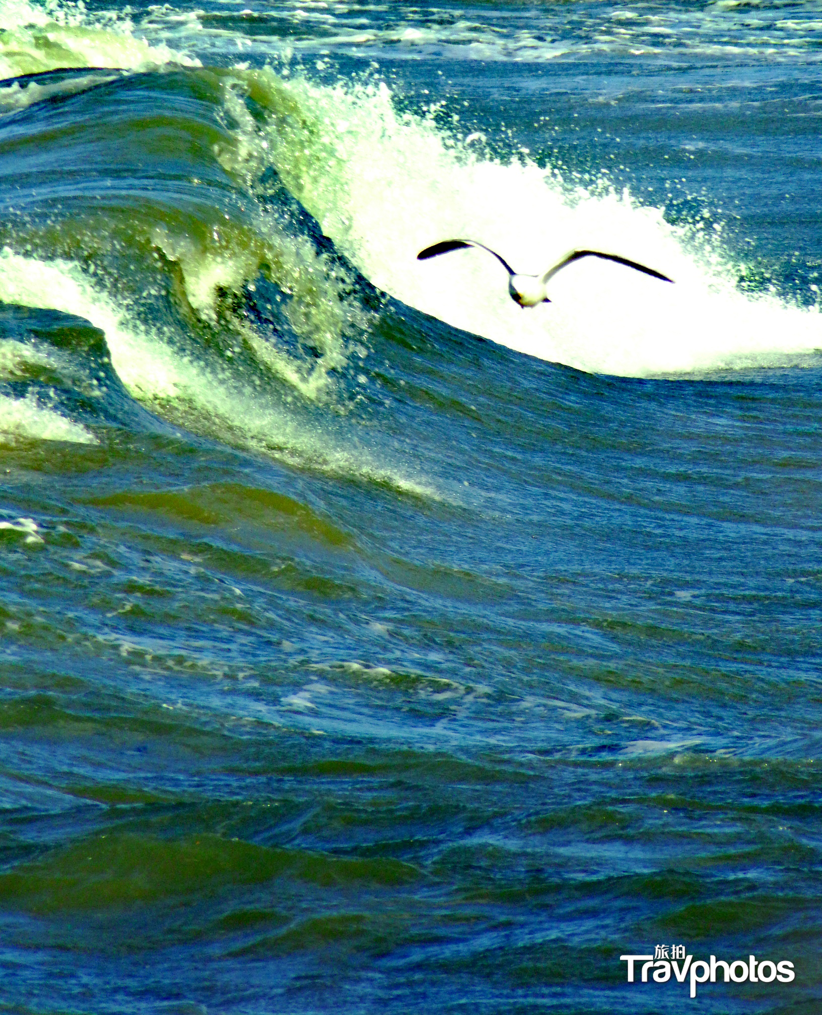 hk_c_【與浪共舞】 作者：趙建華.png