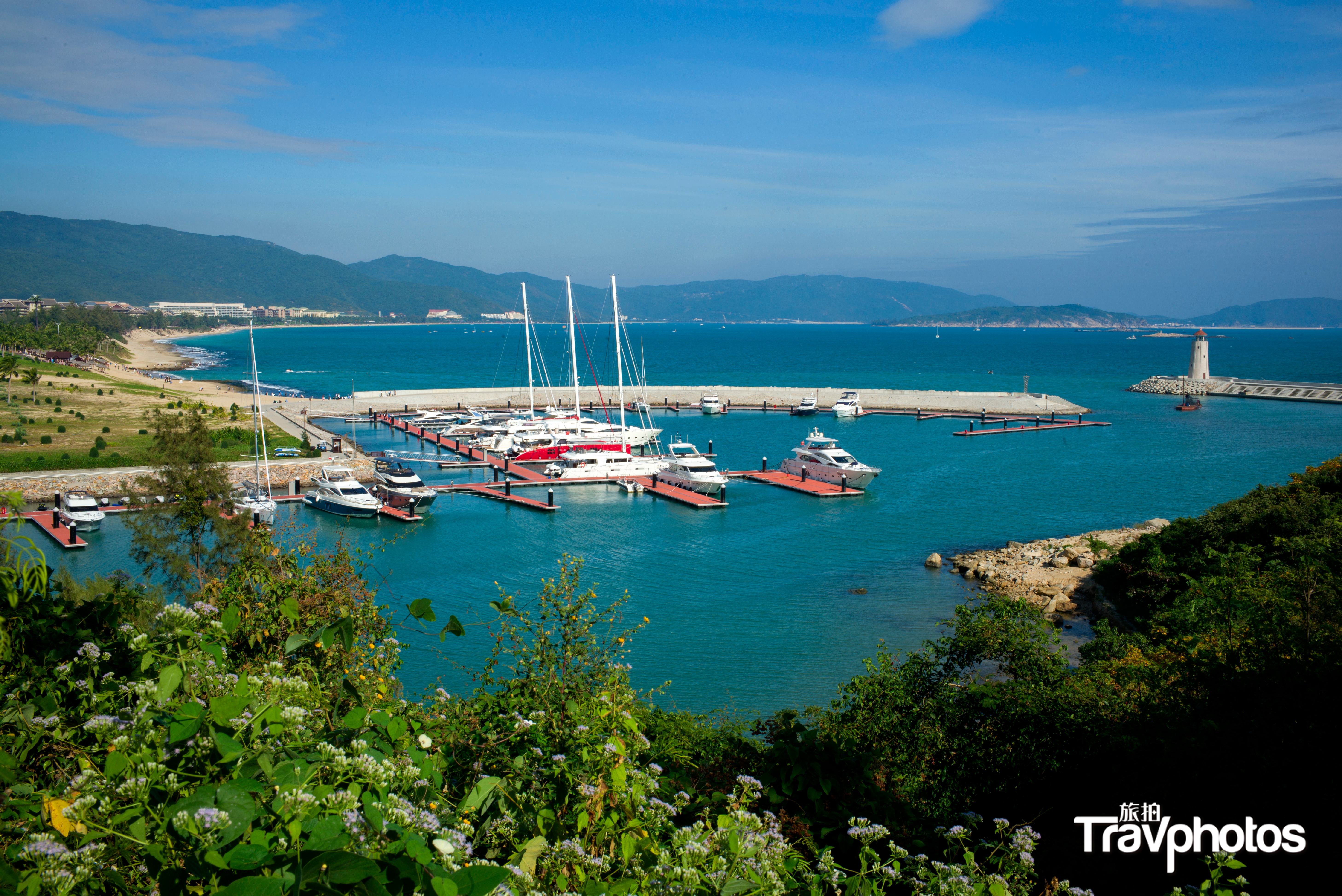 hk_c_1604887510253073840.jpg hk_c_E191841 侯莉娟 CTPphoto.jpg