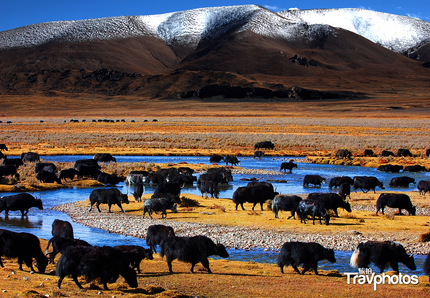 hk_c_1605588588888022528.jpg hk_c_20201103202521mZGj48hSpX.jpg