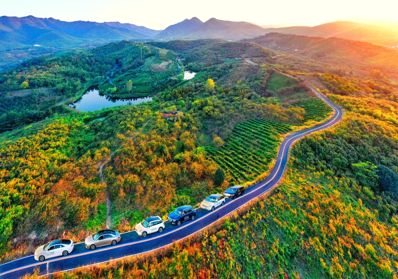 hk_c_4 最美公路秋色 江蘇省常州市溧陽的一號公路，是號稱全國鄉村最美公路的典範，秋天已到，最美公路也染上了金黃的色彩 顧常華.jpeg