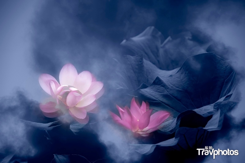 hk_c_藍夢夏荷  綠野輕風.jpg