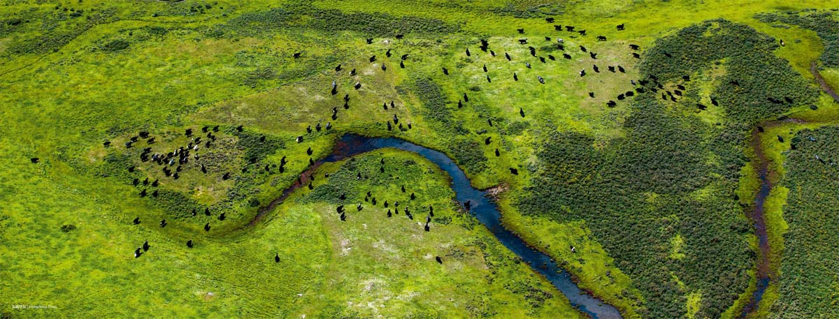 hk_c_1609409280632068086.jpg hk_c_未標題-6.jpg