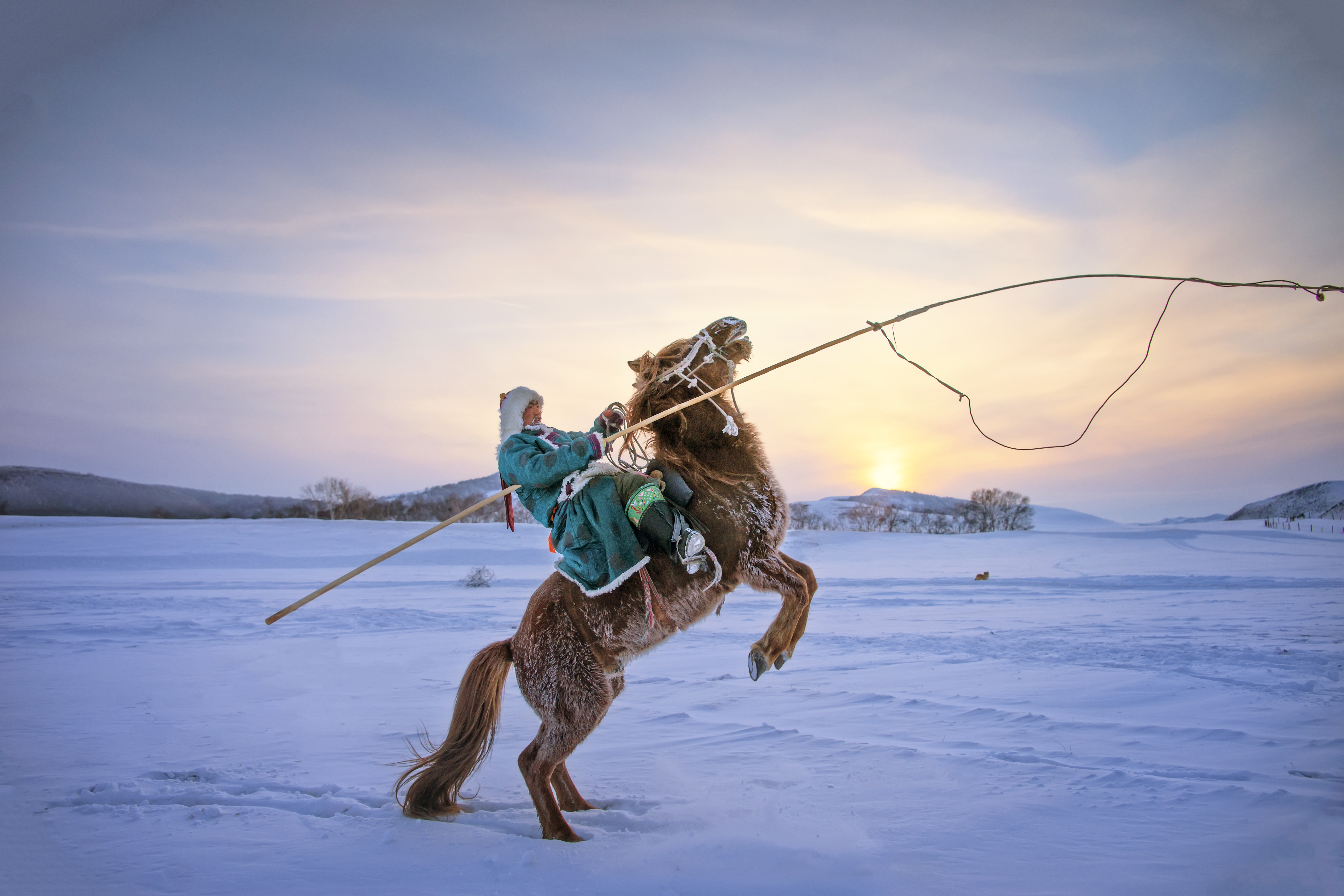 hk_c_年度攝影師趙必然-冬雪牧歌 2020年1月拍攝於內蒙古赤峰烏蘭布統壩上。夕陽西下，暮色蒼茫，牧民們放牧歸來，打馬而起，豪邁無比。.jpg