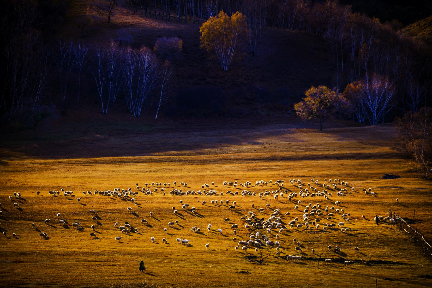 hk_c_2、曹巨波 攝於內蒙古壩上草原.jpeg