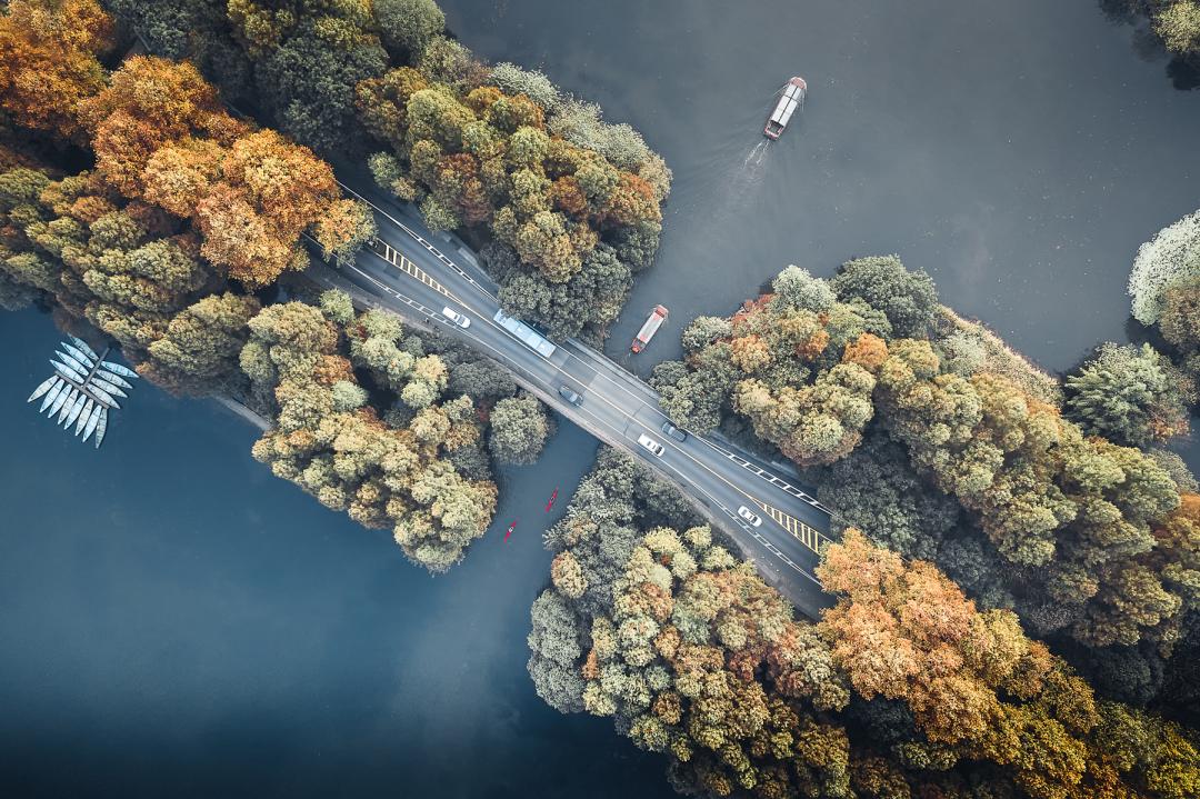 hk_c_4、Damon 杭州網紅打卡點，秋天還沒到，葉子黃了一半.jpeg