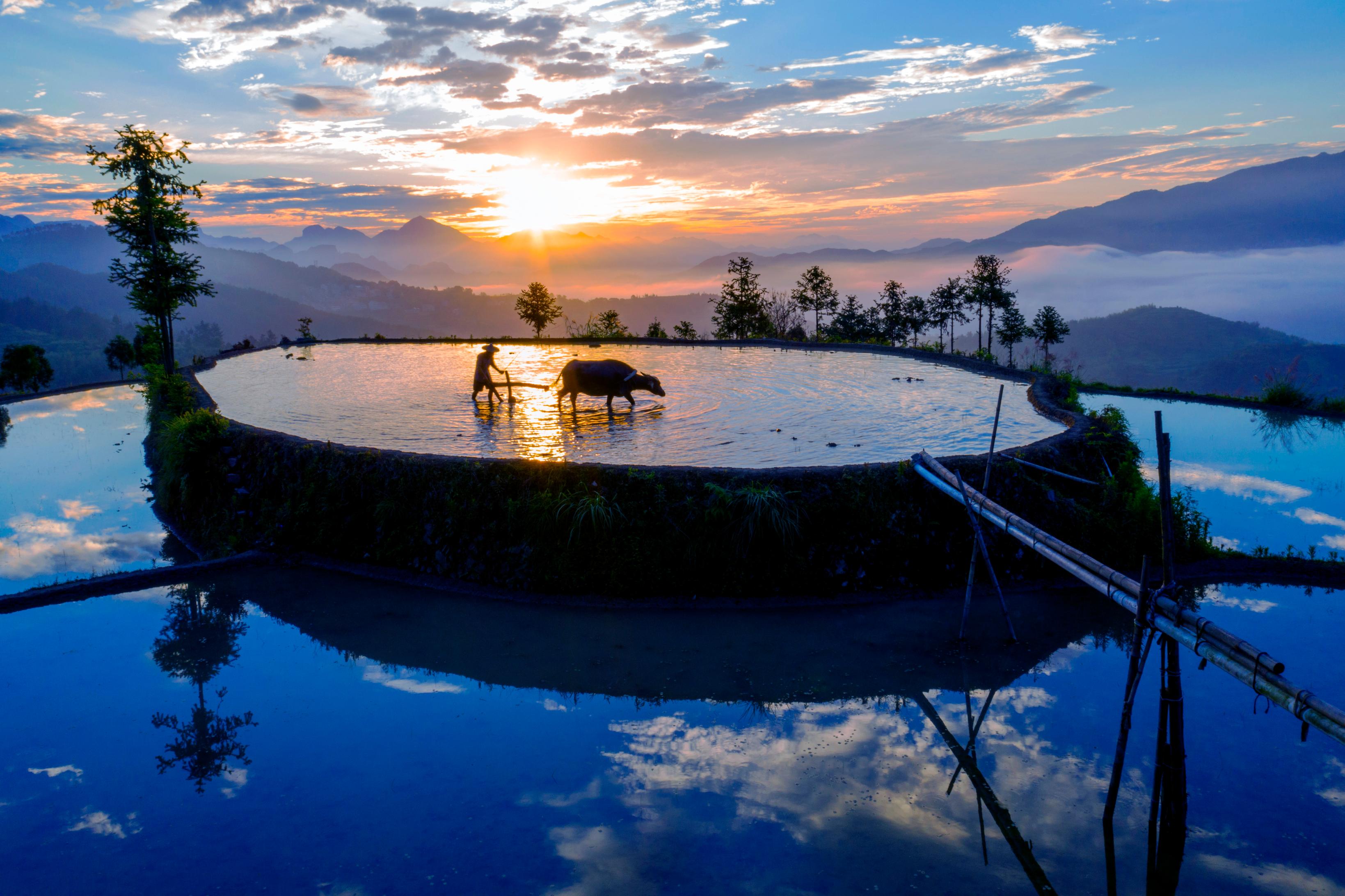 hk_c_5、趙子方 20200年6月16 日清晨，浙江溫州永嘉茗嶴山上农民伯伯正在犁田。.jpg