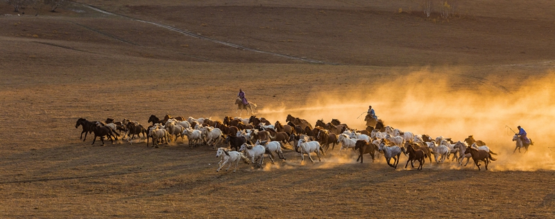 hk_c_《駿馬奔馳》  攝於內蒙古烏蘭布統  馬麗軍.jpg