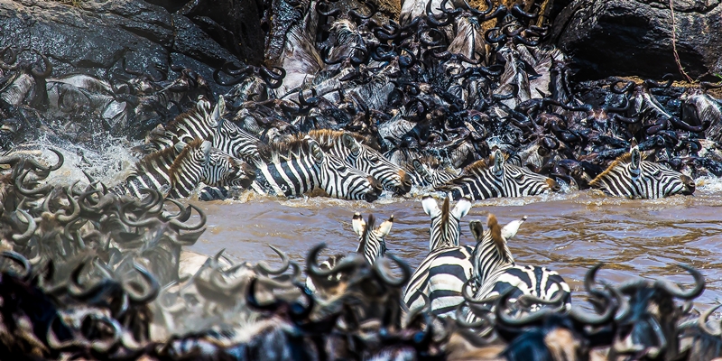 hk_c_Epson Print out (08-07-2020)-36_32x64cm.jpg