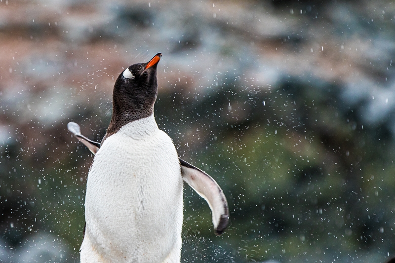 hk_c_For Print out (08-07-2020)-2.jpg