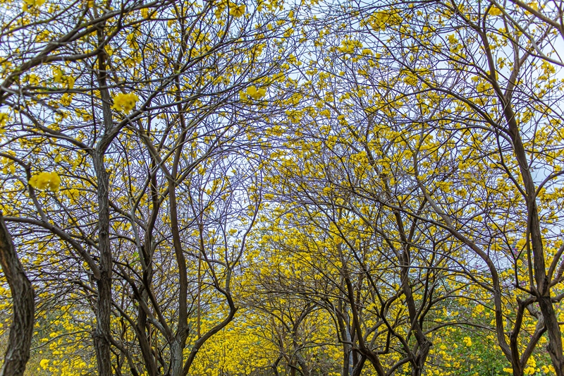 hk_c_For Print out (08-07-2020)-21.jpg