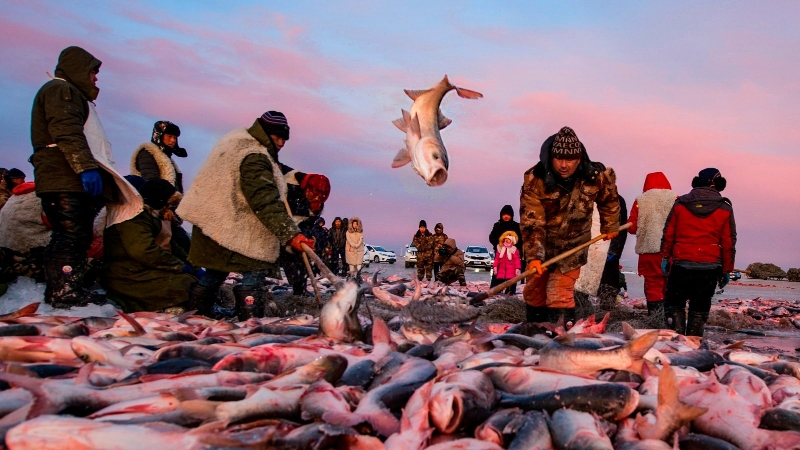 hk_c_1、冰雪騰魚 吉林松原查干湖 張桂芝.jpg