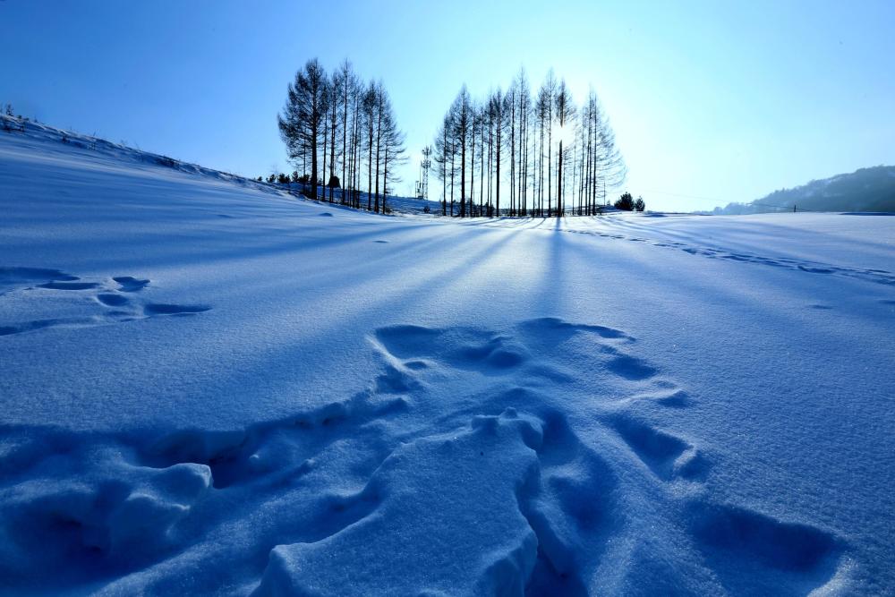 hk_c_2、雪影 吉林白山市雪村 朱洞輝.jpg