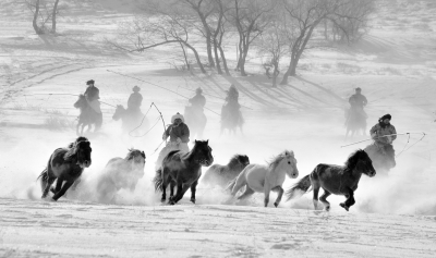 hk_c_10、雪中套馬 內蒙古錫林郭勒 姚永勝.jpg