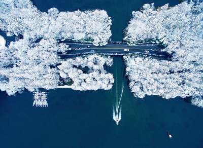 hk_c_12、西湖雪韻 浙江杭州西湖 四哥 【渝A】.jpg