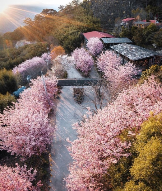 hk_c_1614909944868003886.jpg hk_c_司.jpg