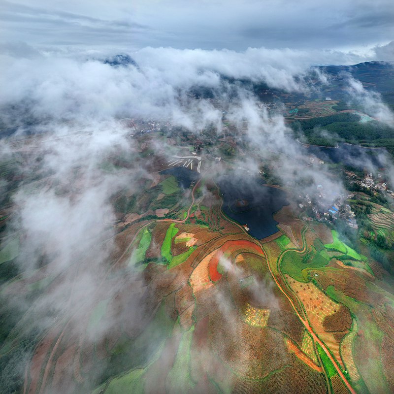 hk_c_鳥瞰紅土地 郭冀華.jpg