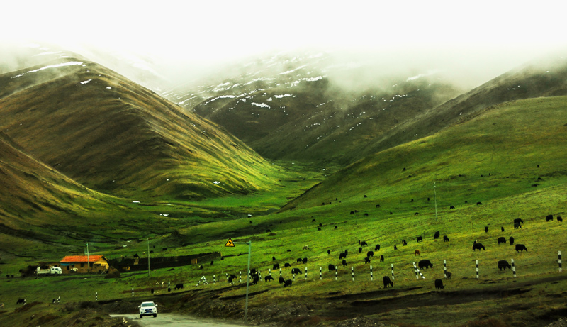 hk_c_牧場神韻-四川阿壩-鄒文泗.jpg