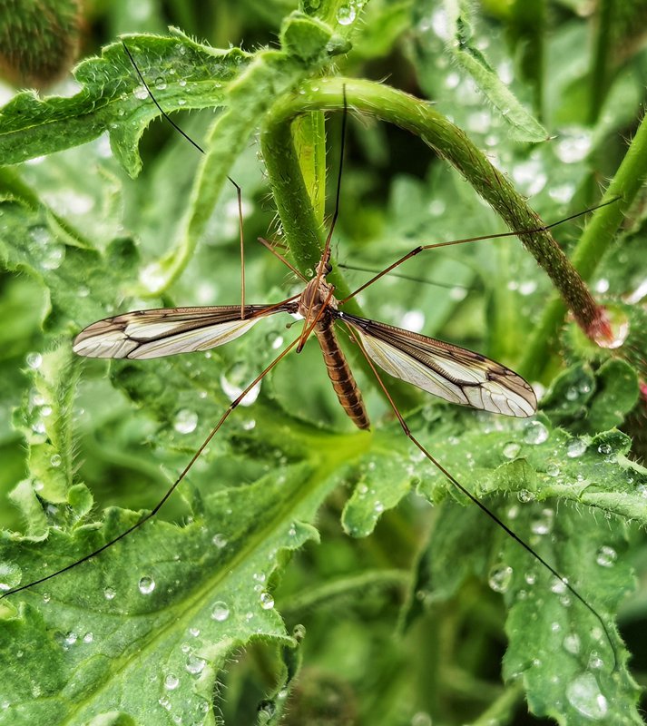 hk_c_小憩 陝西寶雞 風兒.jpg