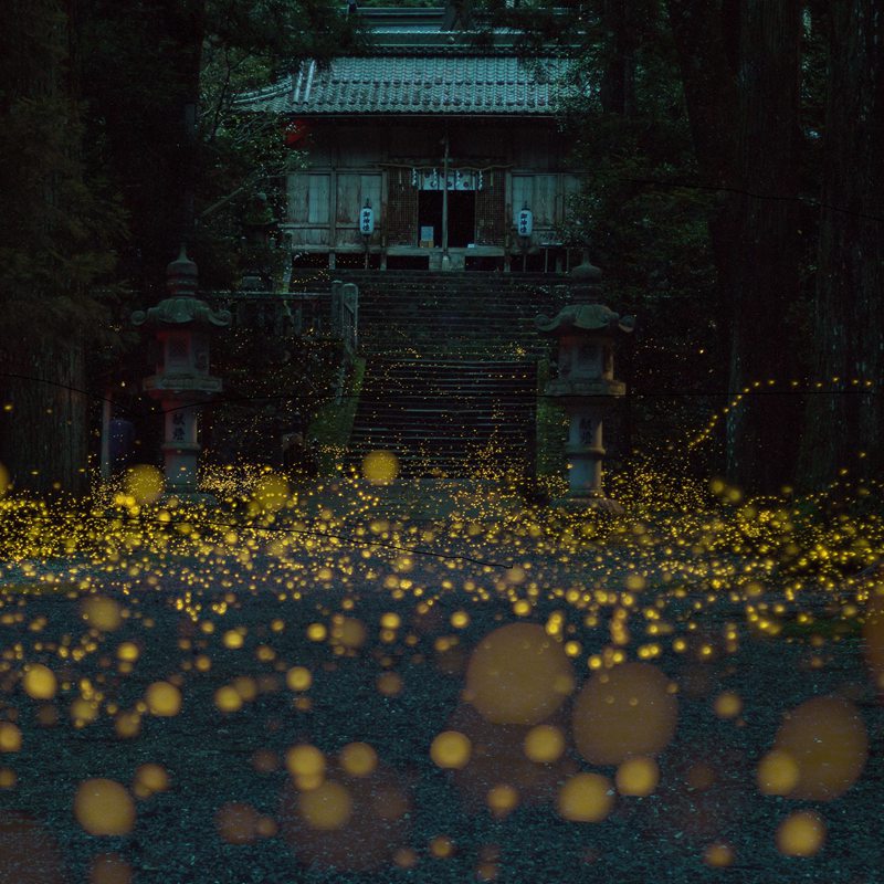 hk_c_螢光映古寺 日本兵庫 鄔申濤.jpg