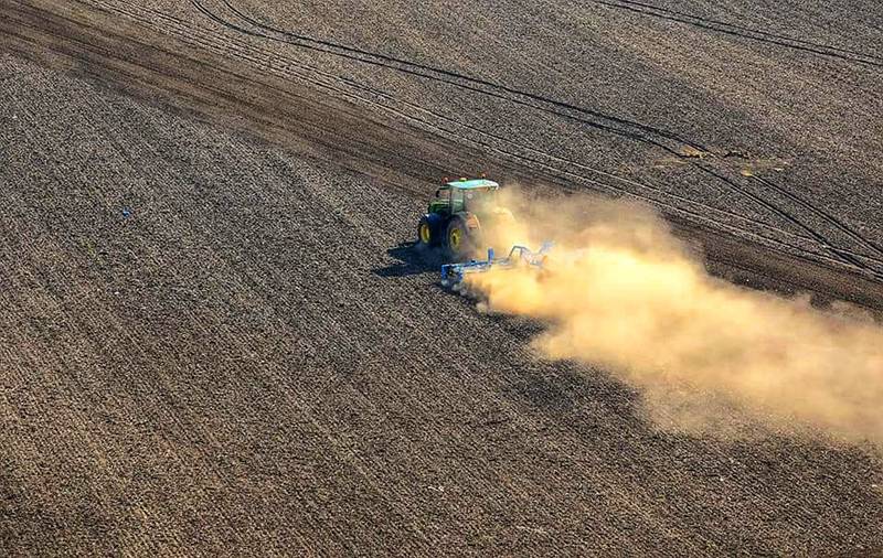 hk_c_耕地 布拉格 王開苗.jpg