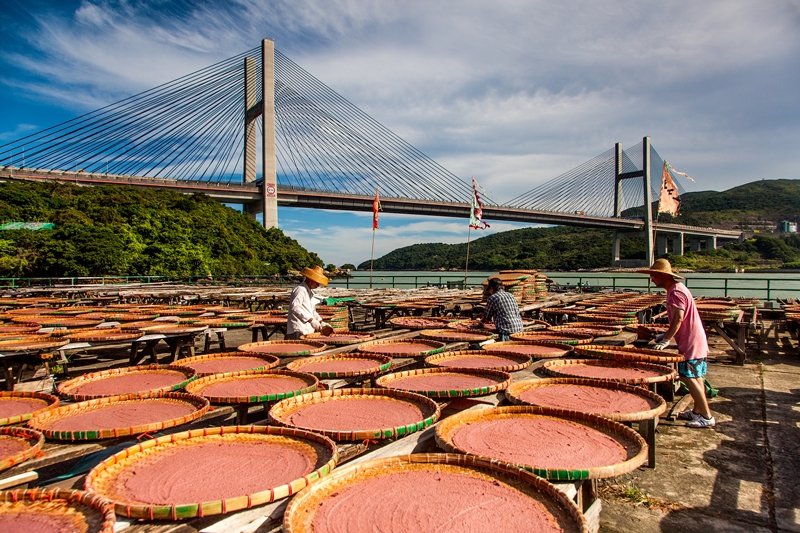 香港老店_隋彪_馬灣蝦膏廠_Ma Wan Shrimp Paste 2012年5月.jpg 香港老店_隋彪_馬灣蝦膏廠_Ma Wan Shrimp Paste 2012年5月.jpg