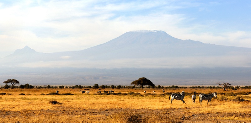 hk_c_乞力馬扎羅山 黎鳴.jpg