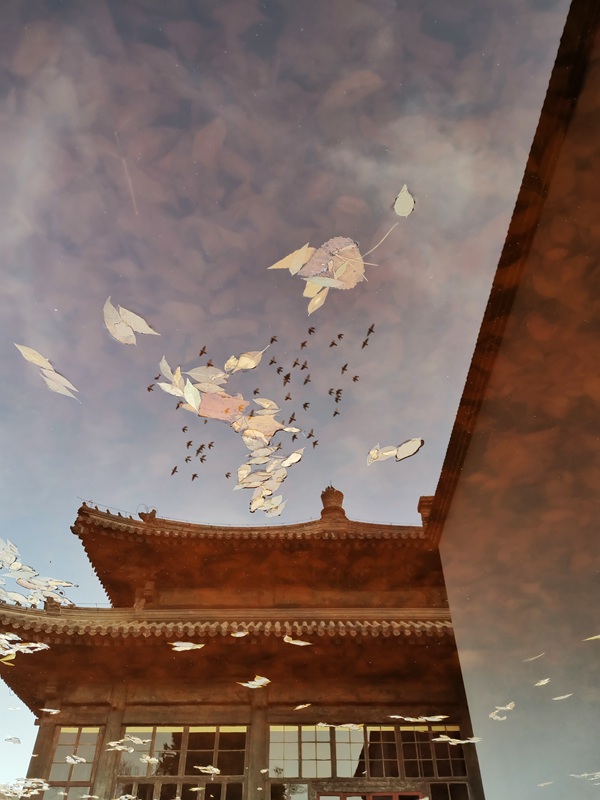 hk_c_北京智珠寺里的倒影。 何芳.jpg