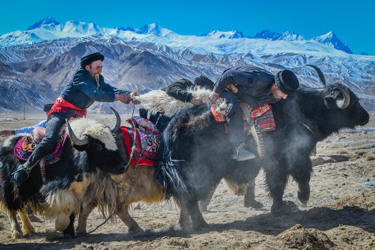 hk_c_《爭》 攝於新疆喀拉帕米爾高原塔吉克族人傳統節日耗牛叼羊的節目 曹巨波.jpg