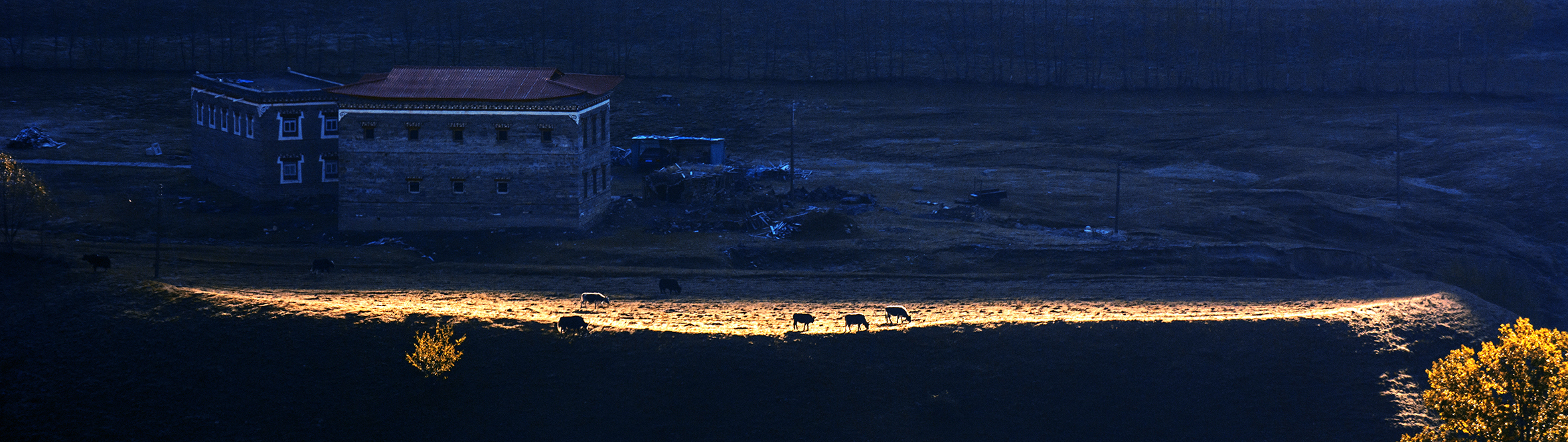 hk_c_一線生機 羅斌.jpg