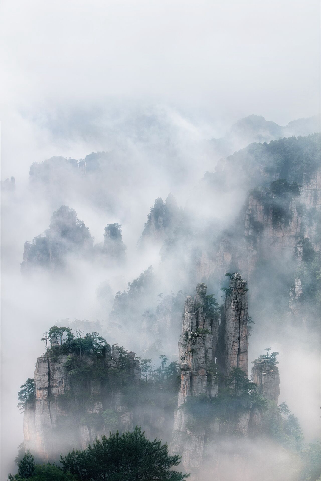 hk_c_丹青水墨畫山川 雨後的張家界天子山，霧遮雲繞，如煙似夢，好一幅山水畫 鄧文佐（雪狼）.jpg