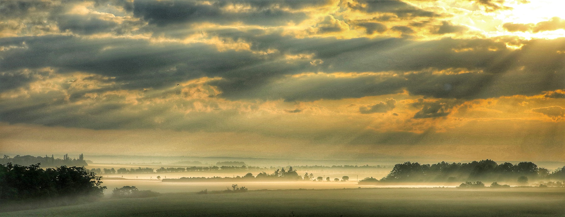 hk_c_田野晨霧 王開苗.jpeg