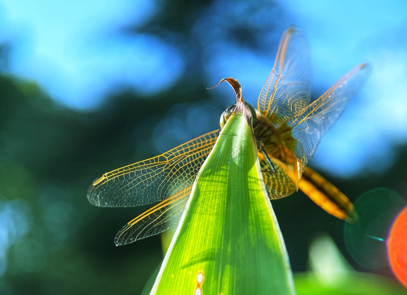 hk_c_停靠 錢國強.jpg