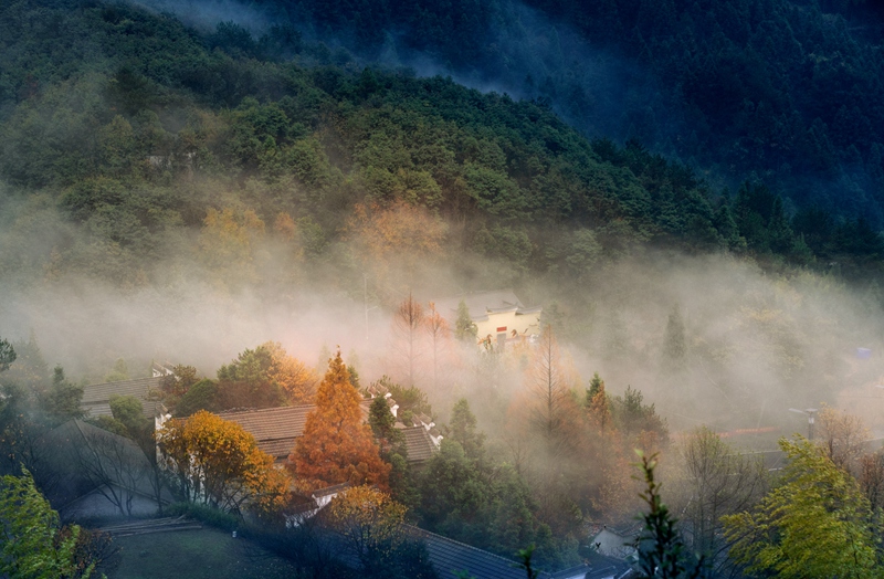 hk_c_美麗畫卷 浙江松陽 王曉莉.jpg