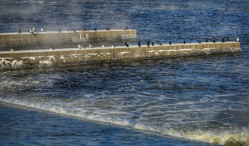 hk_c_晨間冰凍 王開苗.jpg